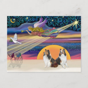 Xmas Star - Zwei Shelties Feiertagspostkarte