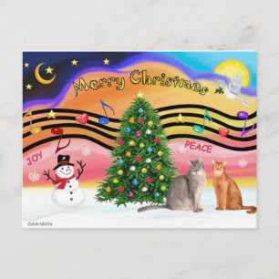 Xmas Sunrise 2 - Zwei abessinische Katzen Feiertagspostkarte