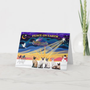 Xmas Sunrise - 5 siamesische Katzen Feiertagskarte