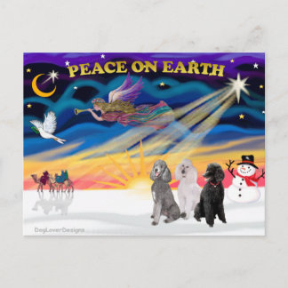 Xmas Sunrise - Drei Standard Poodles Feiertagspostkarte