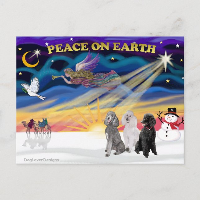 Xmas Sunrise - Drei Standard Poodles Feiertagspostkarte (Vorderseite)
