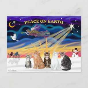 Xmas Sunrise - Fünf Katzen (AmSH) Feiertagspostkarte