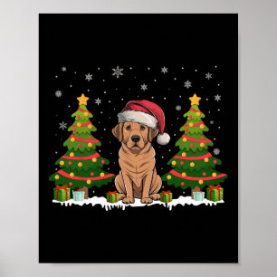 Xmas Tree Lights Labrador Hund Weihnachtsmannmütze Poster