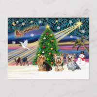 XmasMagic Yorkie Trio