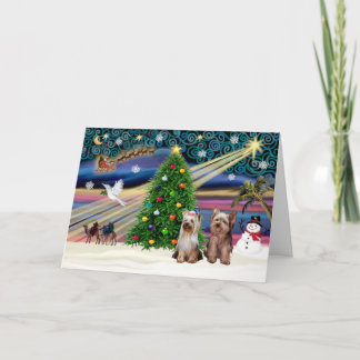 XmasMagic-Yorkshire Terriers (zwei) Feiertagskarte
