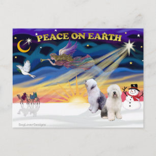 XmasSunrise-Zwei-Old English Sheepdog Feiertagspostkarte