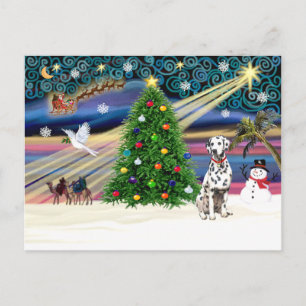 XmsMagic-Dalmatiner Postkarte