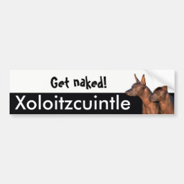 Xolitzcuintle Autoaufkleber