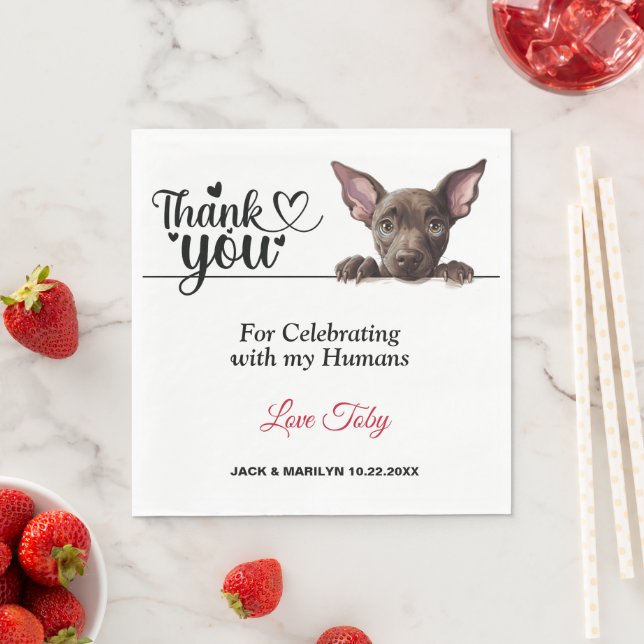 Xoloitzcuinti Peeking Dog Paper Napkins Serviette (Beispiel)