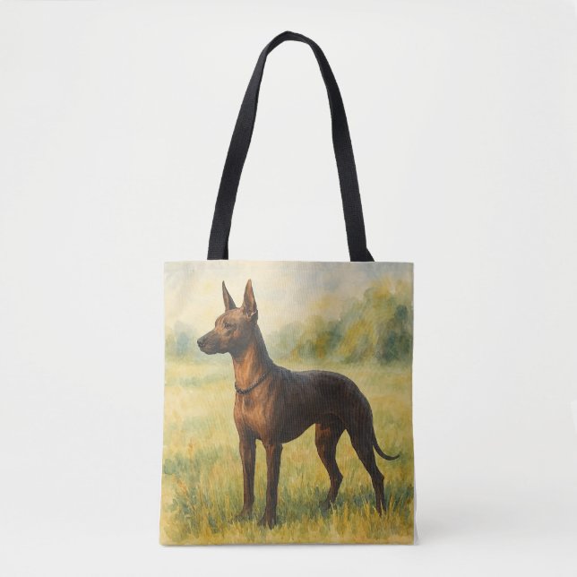 Xoloitzcuintle (Vorderseite)