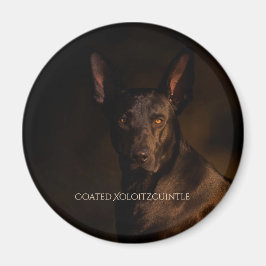 Xoloitzcuintle Coated Magnet
