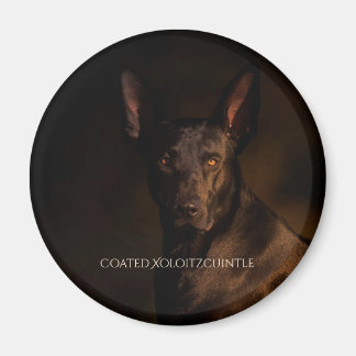 Xoloitzcuintle Coated Magnet