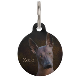 Xoloitzcuintle Haustiermarke