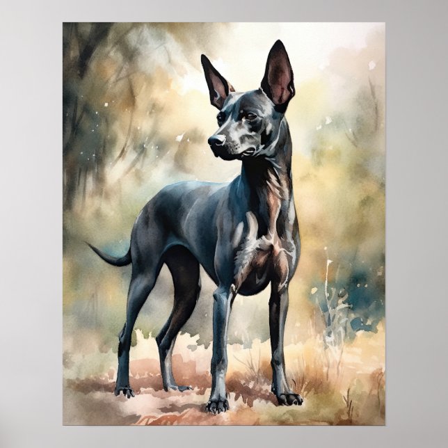 Xoloitzcuintli Dog Art Print Poster (Vorne)