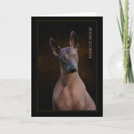 Xoloitzcuintli Grußkarte Karte