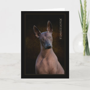 Xoloitzcuintli Grußkarte Karte