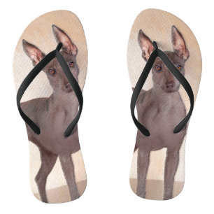 Xoloitzcuintli Malerei - Niedliche Original Dog Ar Flip Flops