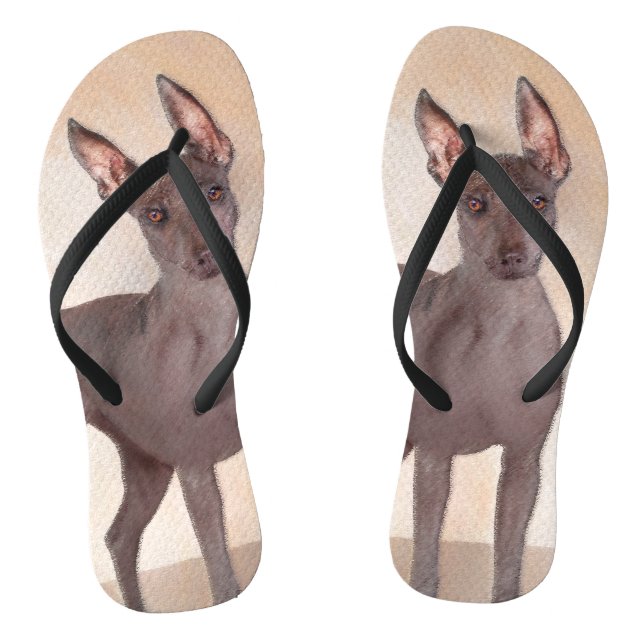 Xoloitzcuintli Malerei - Niedliche Original Dog Ar Flip Flops (Fußbett)
