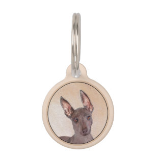 Xoloitzcuintli Malerei - Niedliche Original Dog Ar Haustiermarke