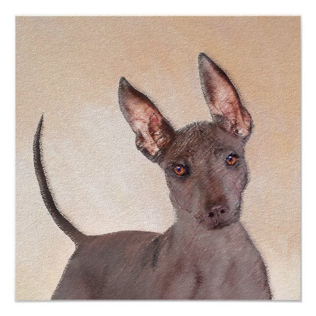 Xoloitzcuintli Malerei - Niedliche Original Dog Ar Poster (Vorderseite)