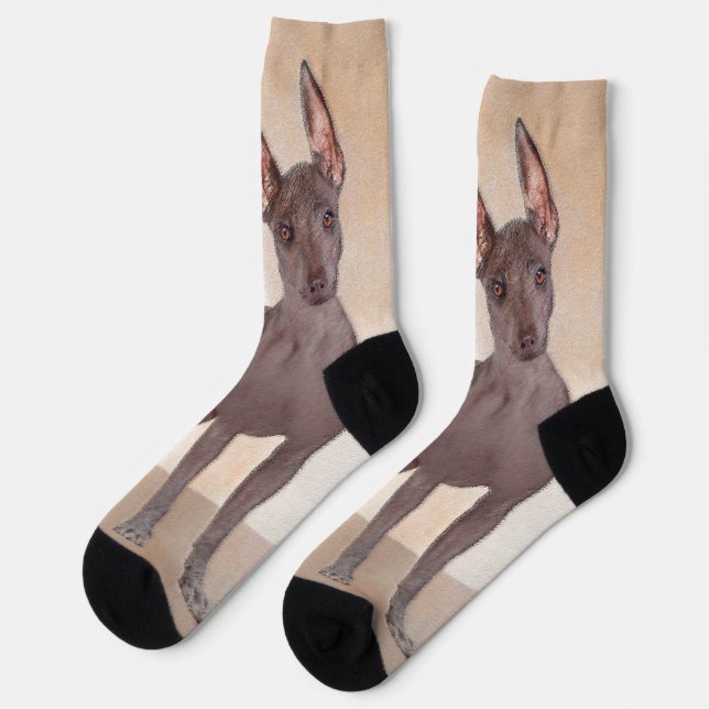 Xoloitzcuintli Malerei - Niedliche Original Dog Ar Socken (Linkes Detail)