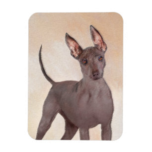 Xoloitzcuintli Malerei - Niedliche Original Hunde  Magnet