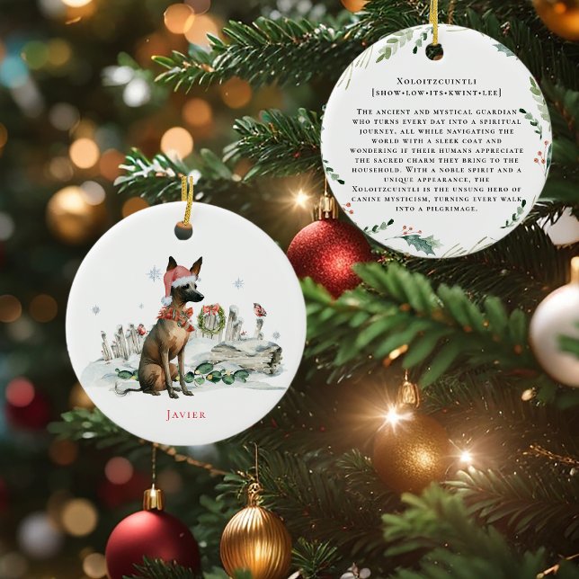 Xoloitzcuintli | Mexikanischer Frischhund mit Wass Keramik Ornament (Von Creator hochgeladen)