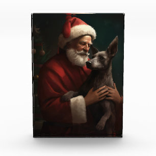 Xoloitzcuintli mit dem Weihnachtsmann Weihnachten Fotoblock
