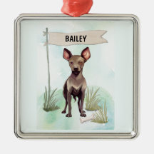 Xoloitzcuintli Watercolor Personalized Dog