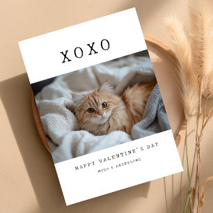 XOXO Einfaches Retro Katzen Kätzchen Foto Valentin Feiertagskarte