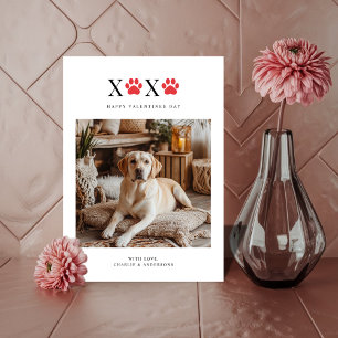 Xoxo Pawprint Retriever Funny Dog Foto Valentines Feiertagskarte
