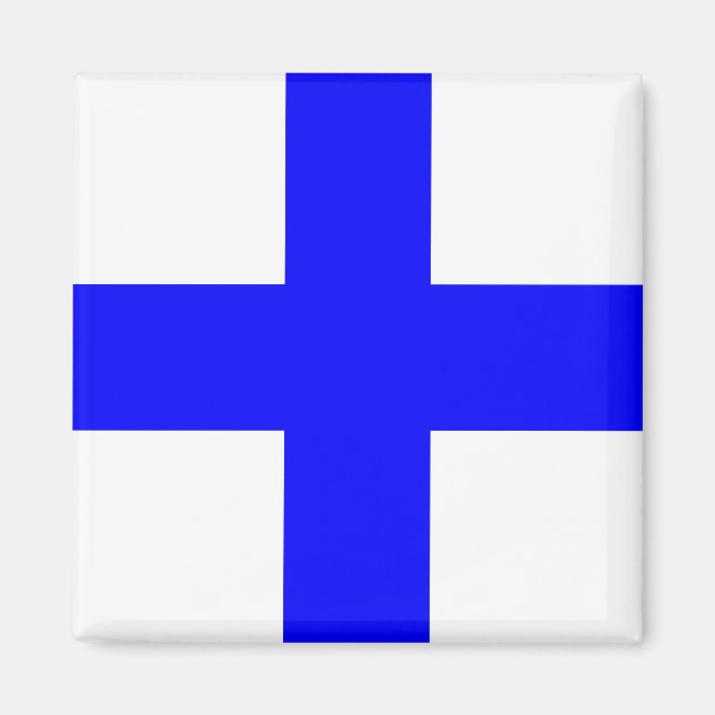 XRAY BLUE CROSS MAGNET (Vorne)