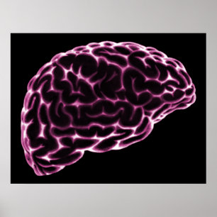 XRAY BRAIN SEITE VIEW PINK POSTER