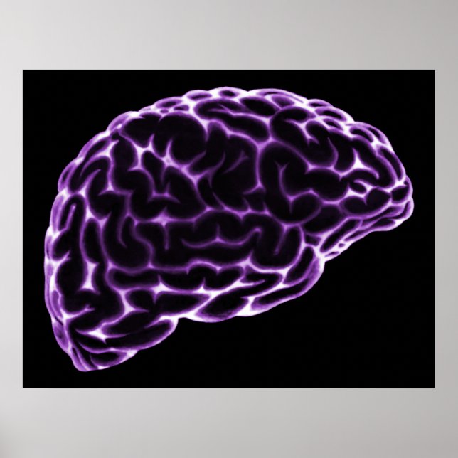 XRAY BRAIN SIDE VIEW LILA POSTER (Vorne)