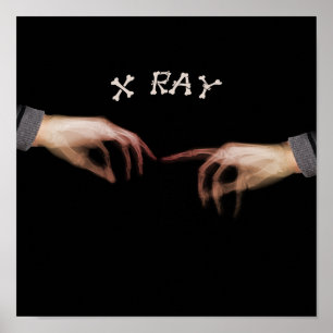 XRAY TOUCH ERINNERT LEONARDO DAVINCI POSTER