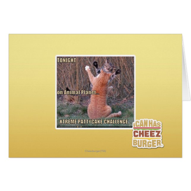 Xtreme PattyCake Challenge (Vorderseite (Horizontal))