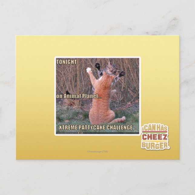 Xtreme PattyCake Challenge Postkarte (Vorderseite)