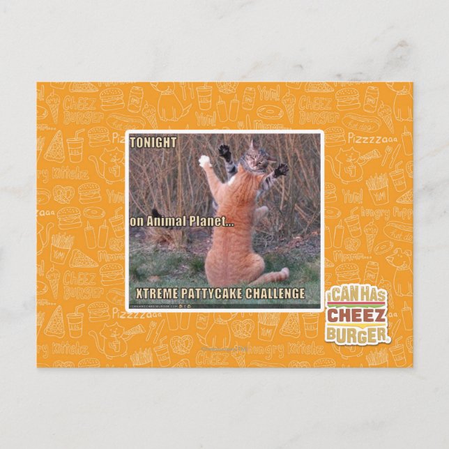 Xtreme PattyCake Challenge Postkarte (Vorderseite)