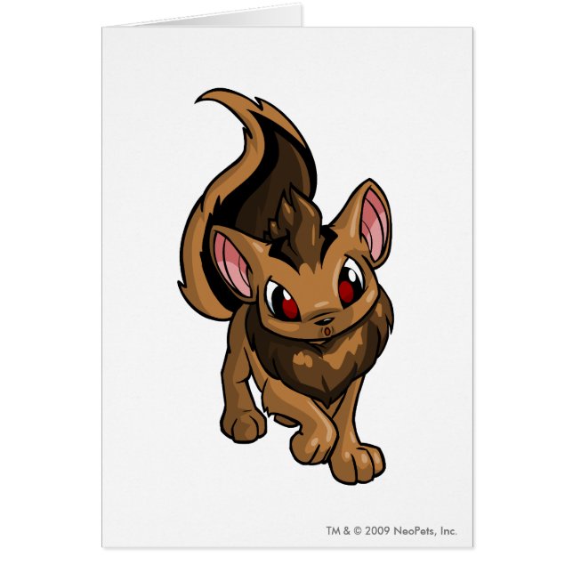 Xweetok Brown (Vorne)