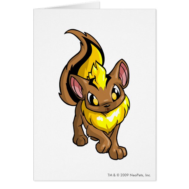 Xweetok Gelb (Vorne)