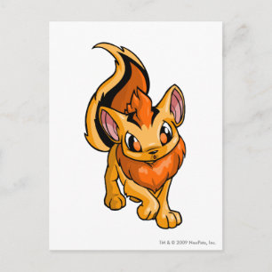 Xweetok Orange Postkarte