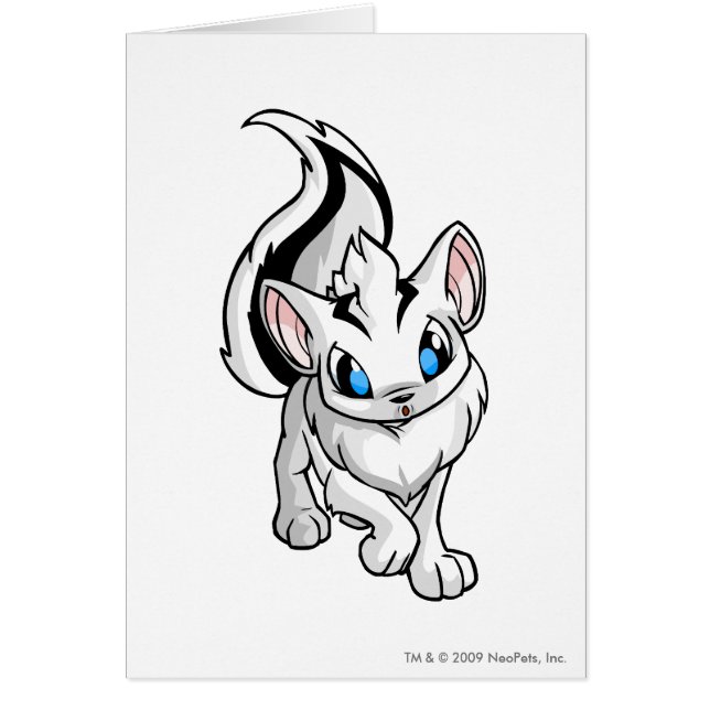 Xweetok Weiß (Vorne)