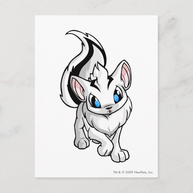 Xweetok White Postkarte (Vorderseite)