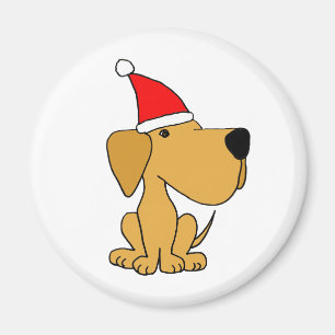 XX gelbe Labrador-Retriever-tragende Magnet