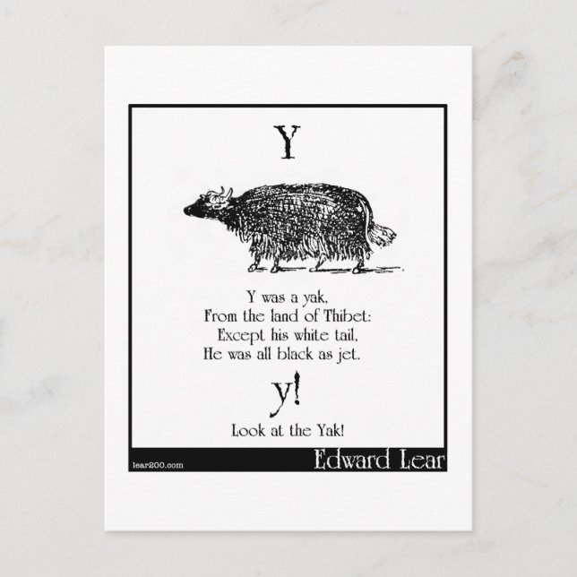 Y war ein Yak Postkarte (Vorderseite)