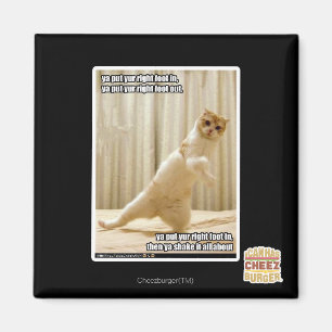 Ya setzte yur rechten Fuß herein, ya gesetzter yu Magnet