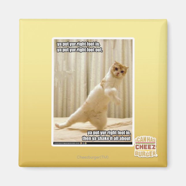 Ya, stecken Sie den rechten Fuß hinein, ya stellen Magnet (Vorne)