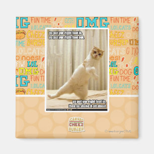 Ya, stecken Sie den rechten Fuß hinein, ya stellen Magnet