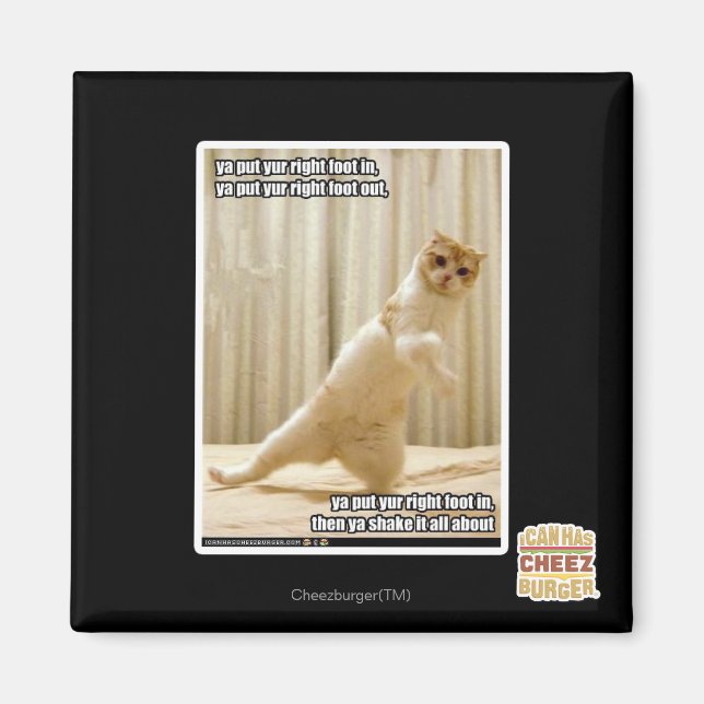 Ya, stecken Sie den rechten Fuß hinein, ya stellen Magnet (Vorne)