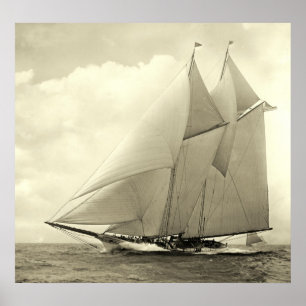 Yacht 'America' 1910 Poster